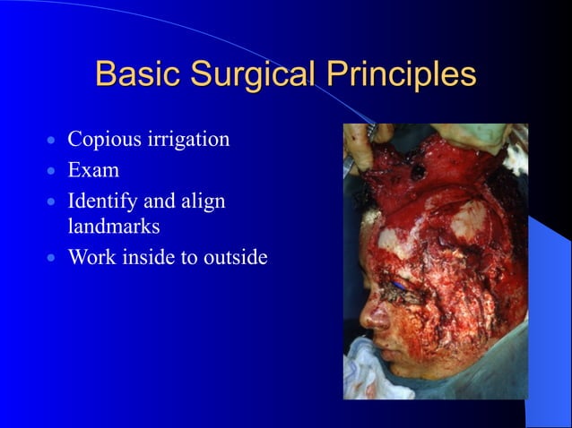 Lip Reconstruction Following Traumatic Lip Injuries | Dr. Alfred ...