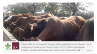 Livestock production systems in Zimbabwe: Project overview