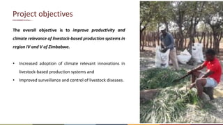 Livestock production systems in Zimbabwe: Project overview
