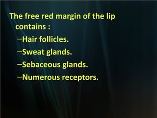 The free red margin of the lip
contains :
–Hair follicles.
–Sweat glands.
–Sebaceous glands.
–Numerous receptors.

 