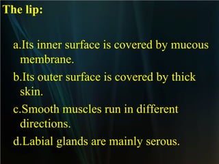 The lip:
a.Its inner surface is covered by mucous
membrane.
b.Its outer surface is covered by thick
skin.
c.Smooth muscles run in different
directions.
d.Labial glands are mainly serous.

 