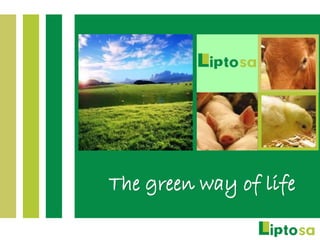 The green way of life
 