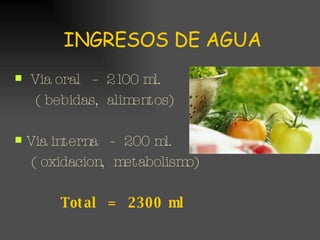 INGRESOS DE AGUA Via oral  -  2100 ml. ( bebidas,  alimentos) Via interna  -  200 ml. ( oxidacion,  metabolismo) Total  =  2300 ml 