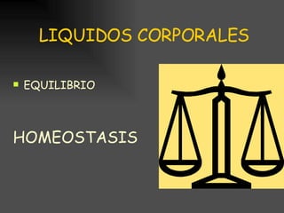 LIQUIDOS CORPORALES EQUILIBRIO HOMEOSTASIS 