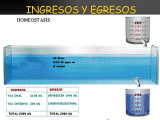 INGRESOS Y EGRESOS 