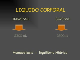 LIQUIDO CORPORAL INGRESOS  EGRESOS 2300 ml.  2300ml. Homeostasis  =  Equilibrio Hídrico 