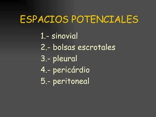 ESPACIOS POTENCIALES 1.- sinovial 2.- bolsas escrotales 3.- pleural 4.- pericárdio 5.- peritoneal 