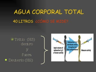 AGUA CORPORAL TOTAL Tritio  (H3)  dentro y fuera Deuterio (H2)  40 LITROS   ¿CÓMO SE MIDE? 