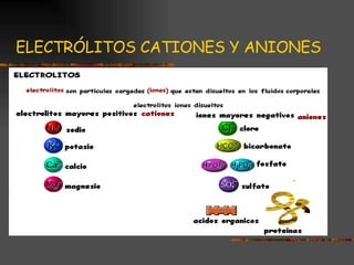 ELECTRÓLITOS CATIONES Y ANIONES 