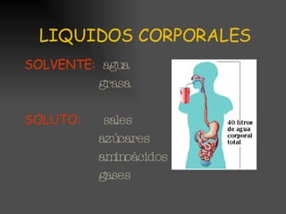 LIQUIDOS CORPORALES SOLVENTE:   agua grasa SOLUTO:   sales azúcares aminoácidos gases 
