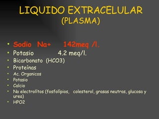 LIQUIDO EXTRACELULAR (PLASMA) Sodio  Na+  142meq /l. Potasio  4.2 meq/l. Bicarbonato  (HCO3) Proteínas Ac. Organicos Potasio Calcio No electrolítos (fosfolípios,  colesterol, grasas neutras, glucosa y urea) HPO2 