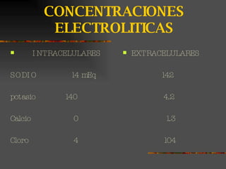 CONCENTRACIONES ELECTROLITICAS INTRACELULARES SODIO  14 mEq potasio  140 Calcio  0  Cloro  4 EXTRACELULARES 142 4.2 1.3 104 