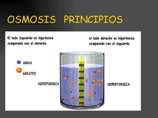 OSMOSIS  PRINCIPIOS 
