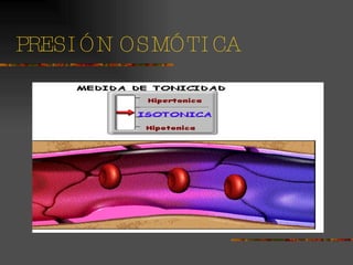 PRESIÓN OSMÓTICA 