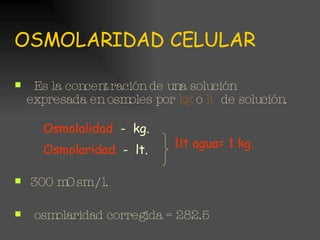 OSMOLARIDAD CELULAR Es la concentración de una solución expresada en osmoles por  kg  o  lt   de solución. 300 mOsm /l. osmolaridad corregida = 282.5 Osmolalidad  -  kg. Osmolaridad  -  lt. 1lt agua= 1 kg. 