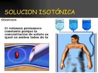 SOLUCION ISOTÓNICA 