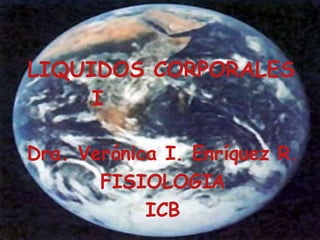 LIQUIDOS CORPORALES  I   Dra. Verónica I. Enríquez R. FISIOLOGIA ICB 