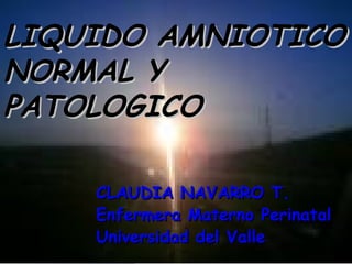 LIQUIDO AMNIOTICO
NORMAL Y
PATOLOGICO

    CLAUDIA NAVARRO T.
    Enfermera Materno Perinatal
    Universidad del Valle
 