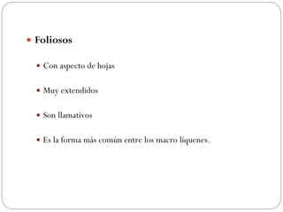 Foliosos Con aspecto de hojas Muy extendidos Son llamativos  Es la forma más común entre los macro líquenes.  