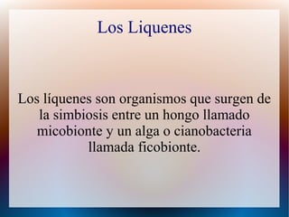 Los Liquenes
Los líquenes son organismos que surgen de
la simbiosis entre un hongo llamado
micobionte y un alga o cianobacteria
llamada ficobionte.
 