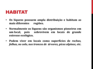 HABITAT
• Os líquens possuem ampla distribuição e habitam as
mais diferentes regiões.
• Normalmente os liquens são organismos pioneiros em
um local, pois sobrevivem em locais de grande
estresse ecológico.
• Podem viver em locais como superfícies de rochas,
folhas, no solo, nos troncos de árvores, picos alpinos, etc.
 