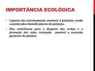 IMPORTÂNCIA ECOLÓGICA
• Líquens são extremamente sensíveis à poluição, sendo
considerados bioindicadores de poluição.
• Eles contribuem para o desgaste das rochas e a
formação dos solos, tornando possível a sucessão
posterior de plantas.
 
