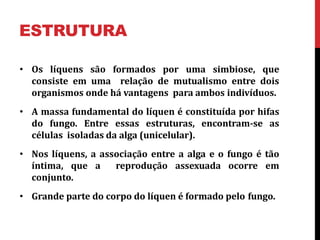 ESTRUTURA
• Os líquens são formados por uma simbiose, que
consiste em uma relação de mutualismo entre dois
organismos onde há vantagens para ambos indivíduos.
• A massa fundamental do líquen é constituída por hifas
do fungo. Entre essas estruturas, encontram-se as
células isoladas da alga (unicelular).
• Nos líquens, a associação entre a alga e o fungo é tão
íntima, que a reprodução assexuada ocorre em
conjunto.
• Grande parte do corpo do líquen é formado pelo fungo.
 