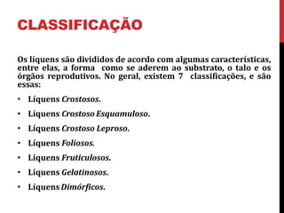 CLASSIFICAÇÃO
Os líquens são divididos de acordo com algumas características,
entre elas, a forma como se aderem ao substrato, o talo e os
órgãos reprodutivos. No geral, existem 7 classificações, e são
essas:
• Líquens Crostosos.
• Líquens Crostoso Esquamuloso.
• Líquens Crostoso Leproso.
• Líquens Foliosos.
• Líquens Fruticulosos.
• Líquens Gelatinosos.
• LíquensDimórficos.
 