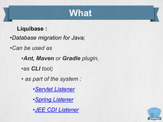 What
Liquibase :
•Database migration for Java;
•Can be used as
•Ant, Maven or Gradle plugin,
•as CLI tool;
• as part of the system :
•Servlet Listener
•Spring Listener
•JEE CDI Listener
 