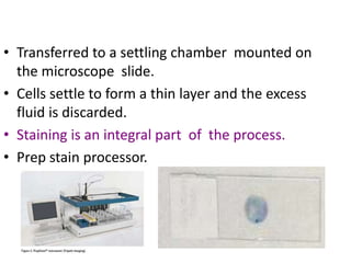• Transferred to a settling chamber mounted on
the microscope slide.
• Cells settle to form a thin layer and the excess
fluid is discarded.
• Staining is an integral part of the process.
• Prep stain processor.
 