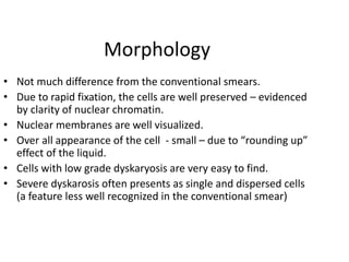Morphology
• Not much difference from the conventional smears.
• Due to rapid fixation, the cells are well preserved – evidenced
by clarity of nuclear chromatin.
• Nuclear membranes are well visualized.
• Over all appearance of the cell - small – due to “rounding up”
effect of the liquid.
• Cells with low grade dyskaryosis are very easy to find.
• Severe dyskarosis often presents as single and dispersed cells
(a feature less well recognized in the conventional smear)
 