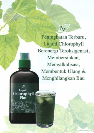 nn Liquid chlorophyll ecos2