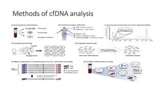 Methods of cfDNA analysis
