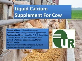 Liquid Calcium
Supplement For Cow
Company Name – Uniray Lifesciences
Email Address – uniraylifesciences@gmail.com
Registered Address - Shop No. 7, 8, 9, Guru Kripa
Complex, Palam Enclave, Tehsil Dera Bassi
District, SAS Nagar Godown Area, Mohali-
140603, Punjab
https://www.uniraylifesciences.co.in/liquid-
calcium-supplement-for-cow/
 