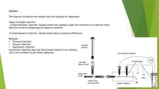 Capillary Injection System Liquid chromatography- Mass Spectroscopy, Capillary Electrophoresis ...