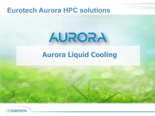 Eurotech Aurora HPC solutions




         Aurora Liquid Cooling
 
