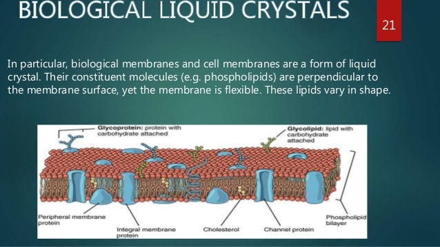 of composition plasma Liquid Crystals of composition plasma Liquid Crystals