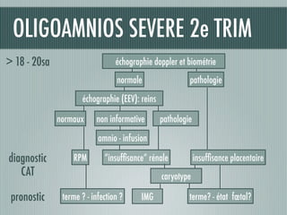terme? - état fœtal?IMG
caryotype
insufﬁsance placentaire
échographie (EEV): reins
pathologienormale
terme ? - infection ?
normaux
RPMdiagnostic
pronostic
OLIGOAMNIOS SEVERE 2e TRIM
“insufﬁsance” rénale
pathologie
amnio - infusion
non informative
CAT
échographie doppler et biométrie> 18 - 20sa
 