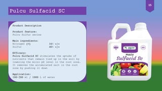 Product Description
Product feature:
Pulcu Sulfur series
Main ingredients:
Nitrogen (N) 16% w/w
Sulfur 40% w/w
Efficacy:
Pulcu Sulfacid SC stimulates the uptake of
nutrients that remain tied up in the soil by
lowering the micro pH level in the root zone.
It removes the accumulated salt in the root
zone by pushing it down
Application:
100-200 ml / 1000 L of water
Pulcu Sulfacid SC
15
 