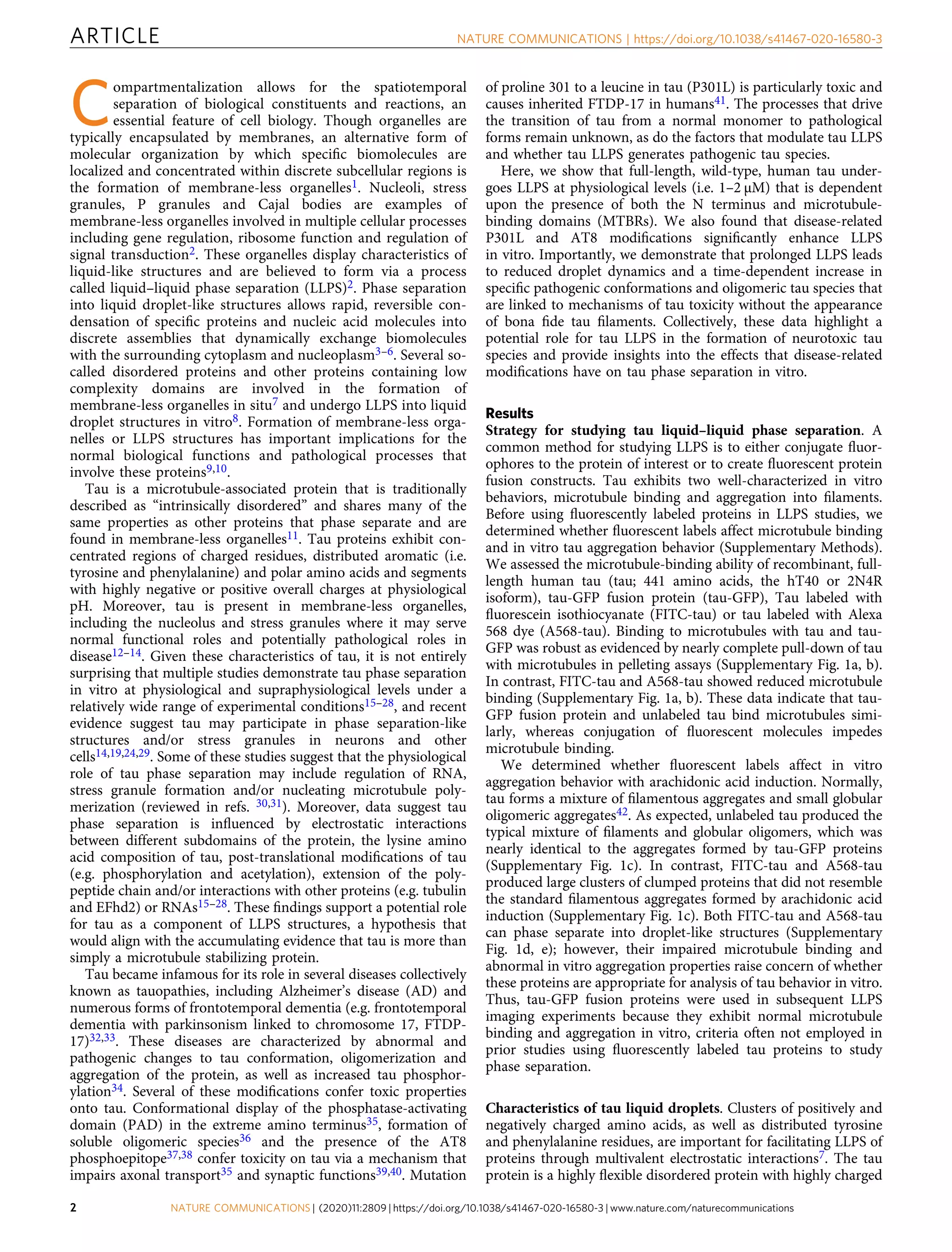 Liquid liquid phase separation | PDF