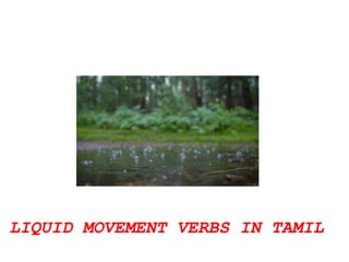 Movement verbs in Tamil