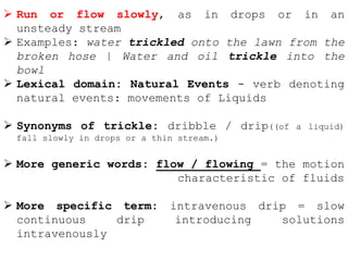 Movement verbs in Tamil