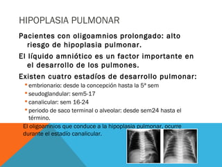 HIPOPLASIA PULMONAR
Pacientes con oligoamnios prolongado: alto
riesgo de hipoplasia pulmonar.
El líquido amniótico es un factor importante en
el desarrollo de los pulmones.
Existen cuatro estadíos de desarrollo pulmonar:
 embrionario: desde la concepción hasta la 5ª sem
 seudoglandular: sem5-17
 canalicular: sem 16-24
 periodo de saco terminal o alveolar: desde sem24 hasta el
término.
 El oligoamnios que conduce a la hipoplasia pulmonar, ocurre
durante el estadío canalicular.
 