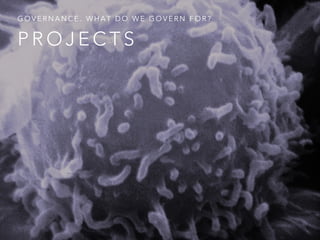 P R O J E C T S
G O V E R N A N C E . W H A T D O W E G O V E R N F O R ?
 