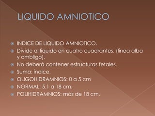 LIQUIDO AMNIOTICO<br />INDICE DE LIQUIDO AMNIOTICO.<br />Divide al líquido en cuatro cuadrantes. (línea alba y ombligo).<b...