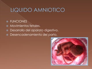 LIQUIDO AMNIOTICO<br />FUNCIONES<br />Movimientos fetales.<br />Desarrollo del aparato digestivo.<br />Desencadenamiento d...