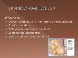 LIQUIDO AMNIOTICO<br />Producción:<br />Difusión a través de la membrana amniocoriónica.<br />Cordón umbilical.<br />Antes...