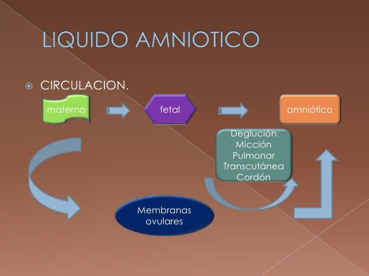 Liquido amniotico