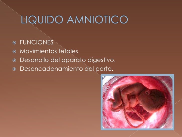 Liquido amniotico