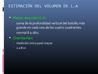 Phelan Normal Liquido amniotico | PPT